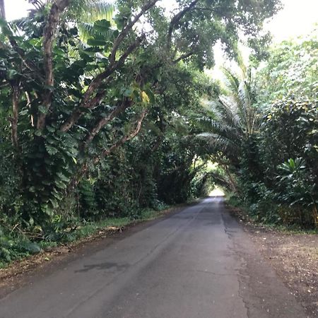 Kehena Oceanfront Cottage Near The Kalapana Lava Flows מראה חיצוני תמונה
