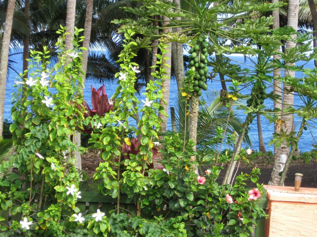 Kehena Oceanfront Cottage Near The Kalapana Lava Flows חדר תמונה