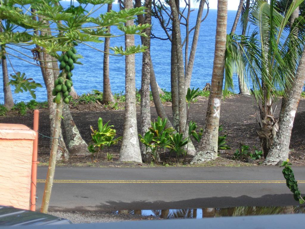 Kehena Oceanfront Cottage Near The Kalapana Lava Flows חדר תמונה