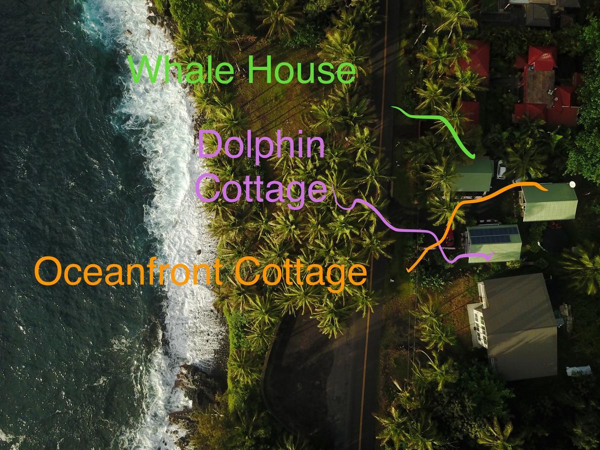 Kehena Oceanfront Cottage Near The Kalapana Lava Flows מראה חיצוני תמונה