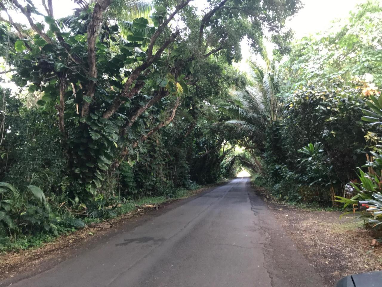 Kehena Oceanfront Cottage Near The Kalapana Lava Flows מראה חיצוני תמונה